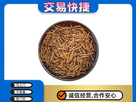 大连沙河口区礼品回收虫草.jpg